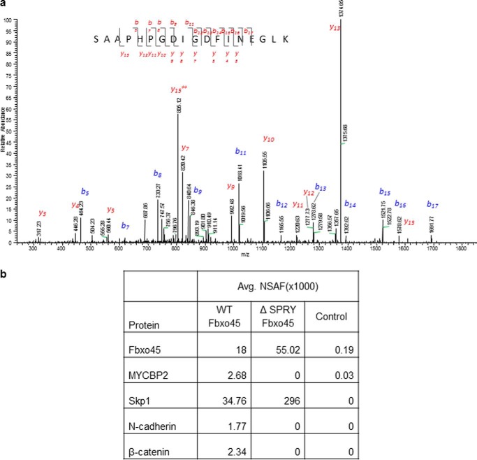 FIGURE 1.