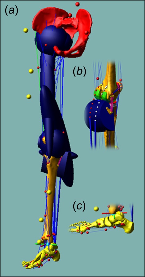 Fig. 3