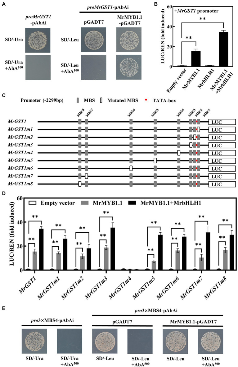 Figure 6