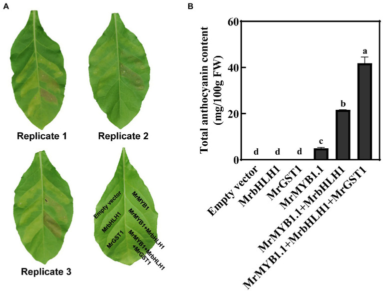 Figure 5