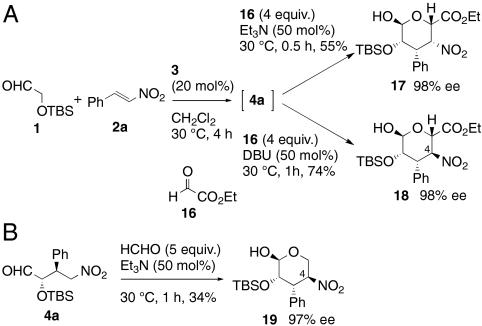 Scheme 4.