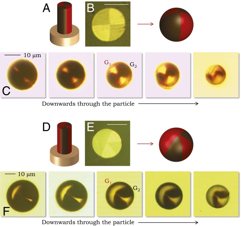 Fig. 4.