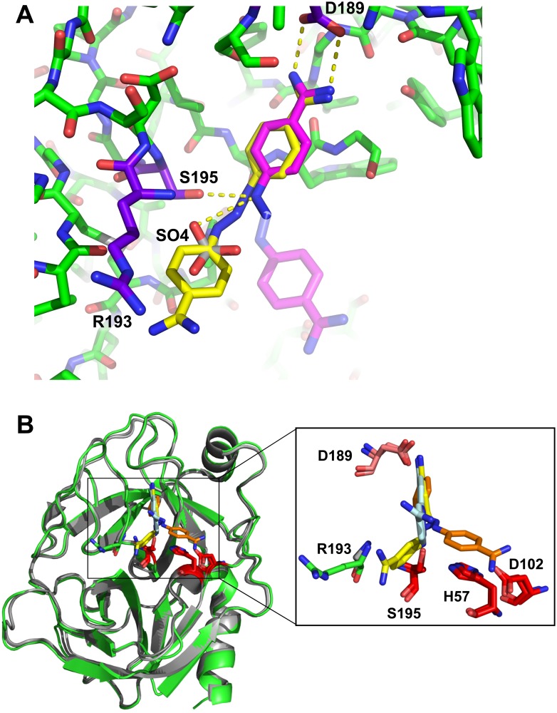 Fig 6