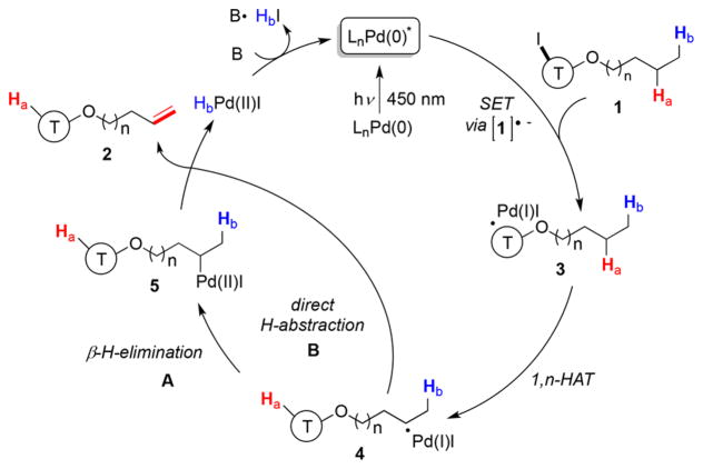 Scheme 3