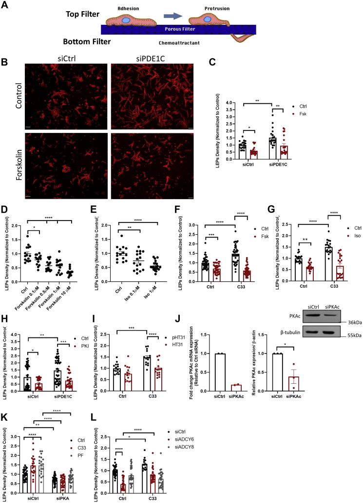 Figure 5