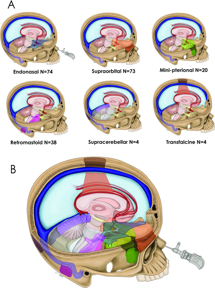 Fig 1