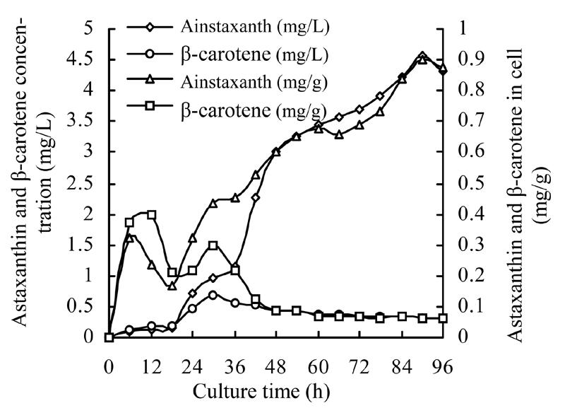 Fig. 11