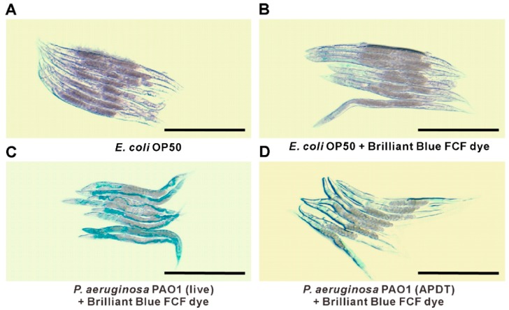 Figure 9