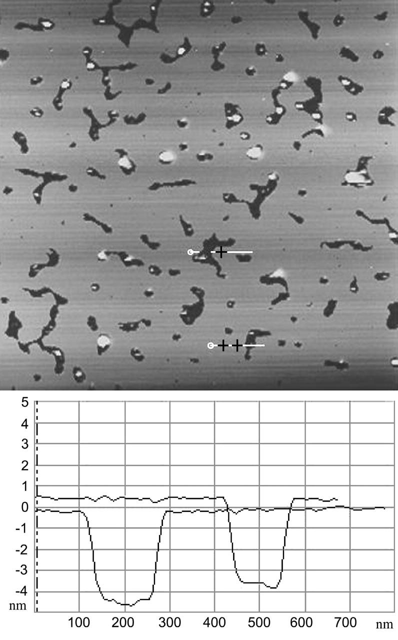 FIGURE 3