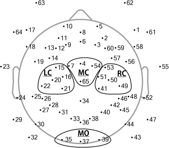 Fig. 2