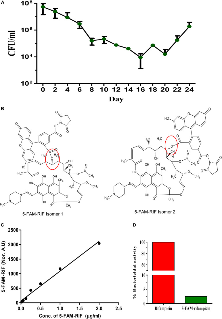 FIGURE 1