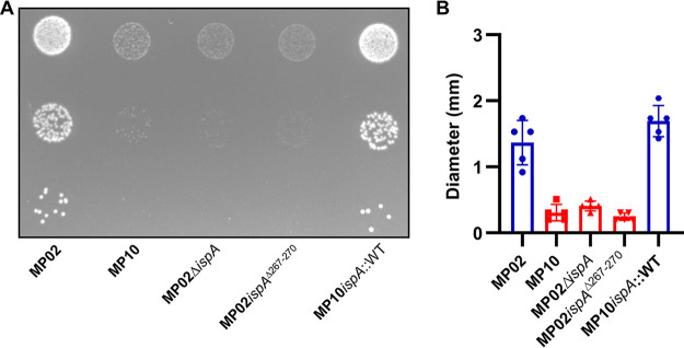 FIG 1