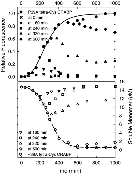 Fig. 3.