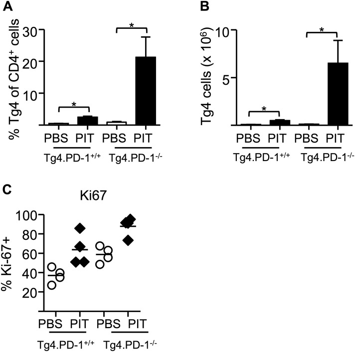 Figure 5—figure supplement 1.