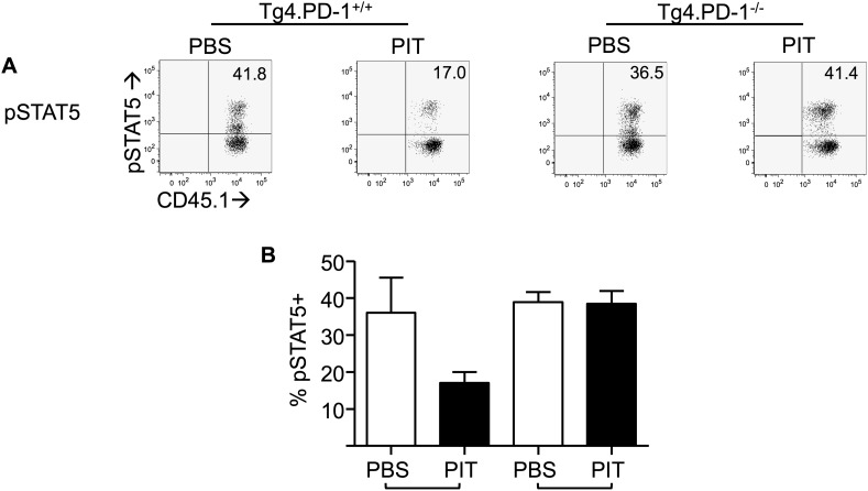 Figure 5—figure supplement 6.