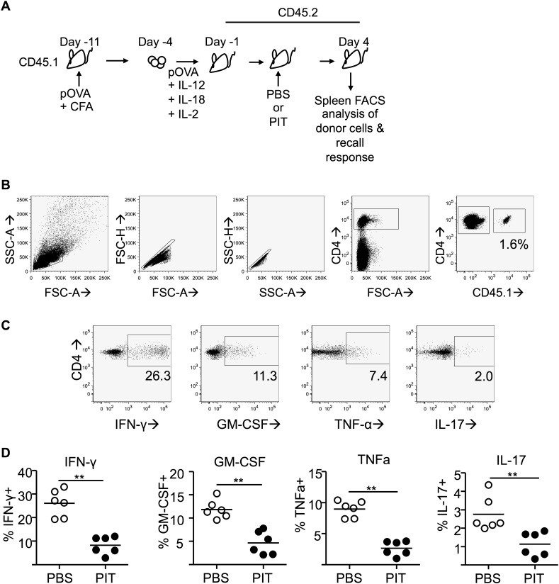 Figure 5—figure supplement 7.