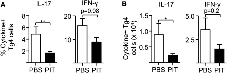 Figure 1—figure supplement 1.