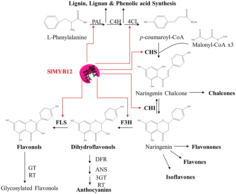 Figure 1.