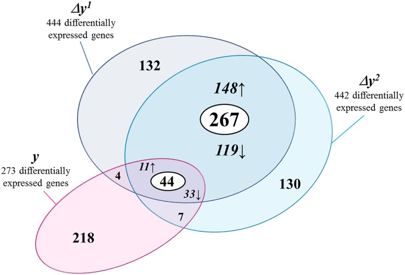 Figure 5.