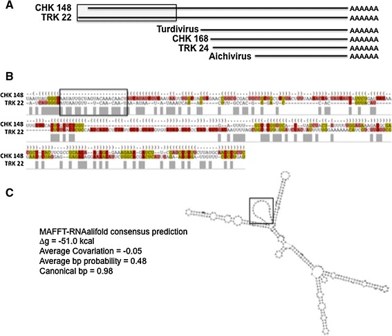 Fig. 6