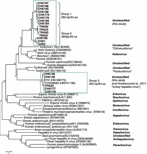 Fig. 1