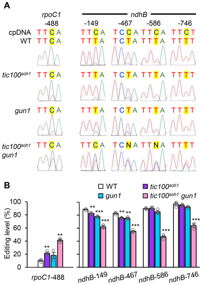 Figure 9