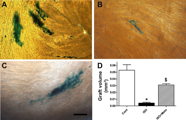 Fig. 9.