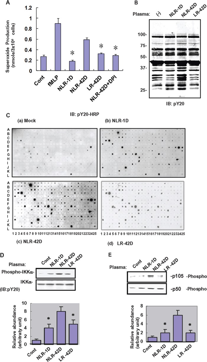 Figure 1. 