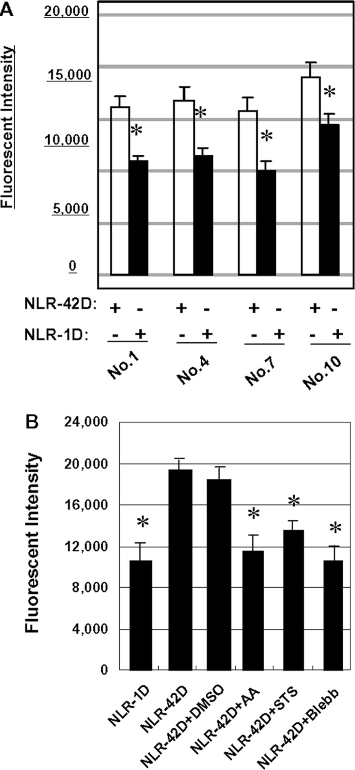 Figure 4. 