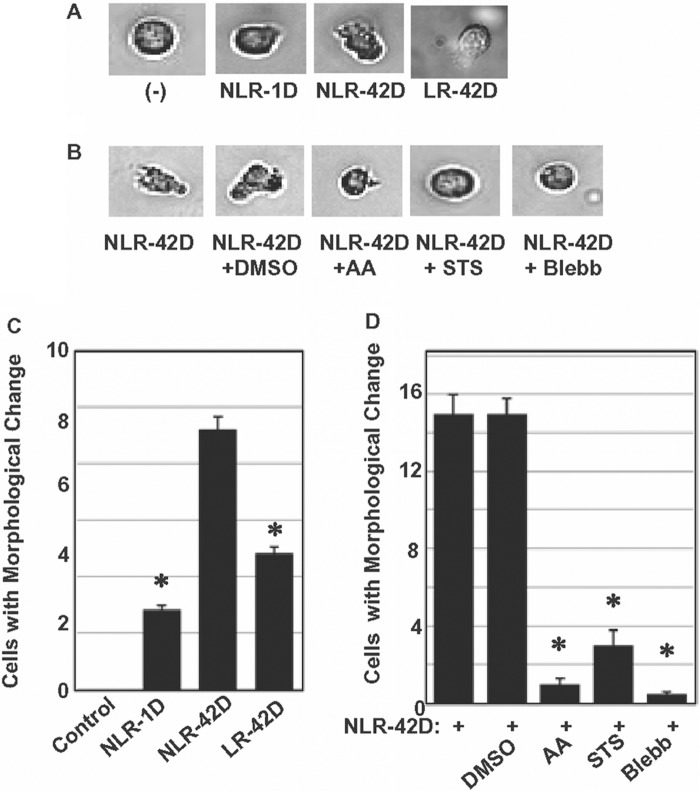 Figure 3. 