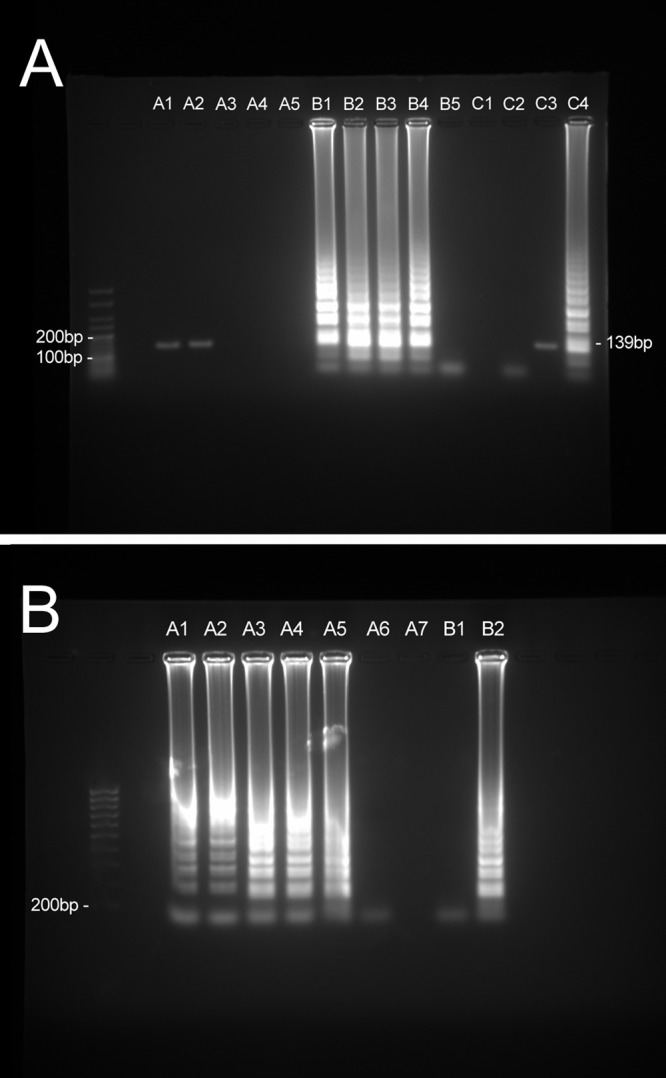 FIG 1