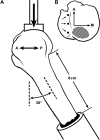 <b>FIG. 2.</b>