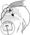 <b>FIG. 1.</b>