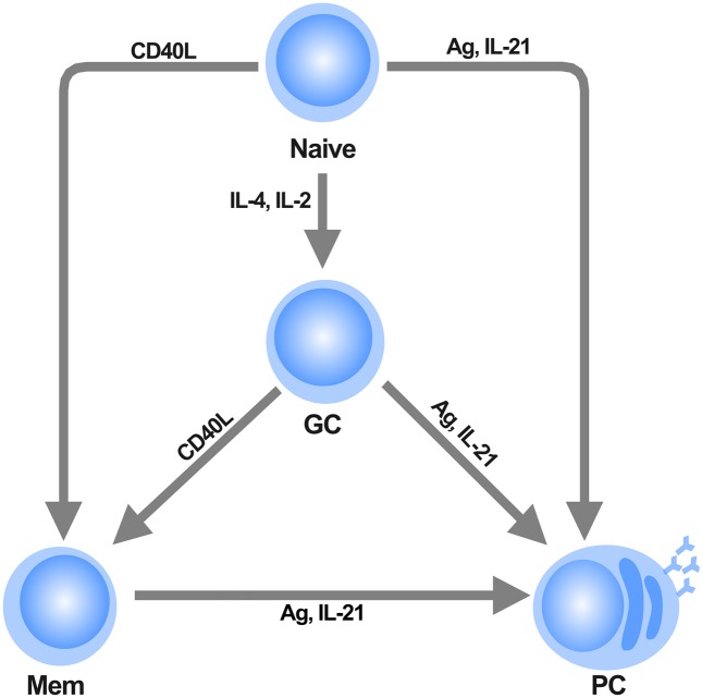 Fig 1