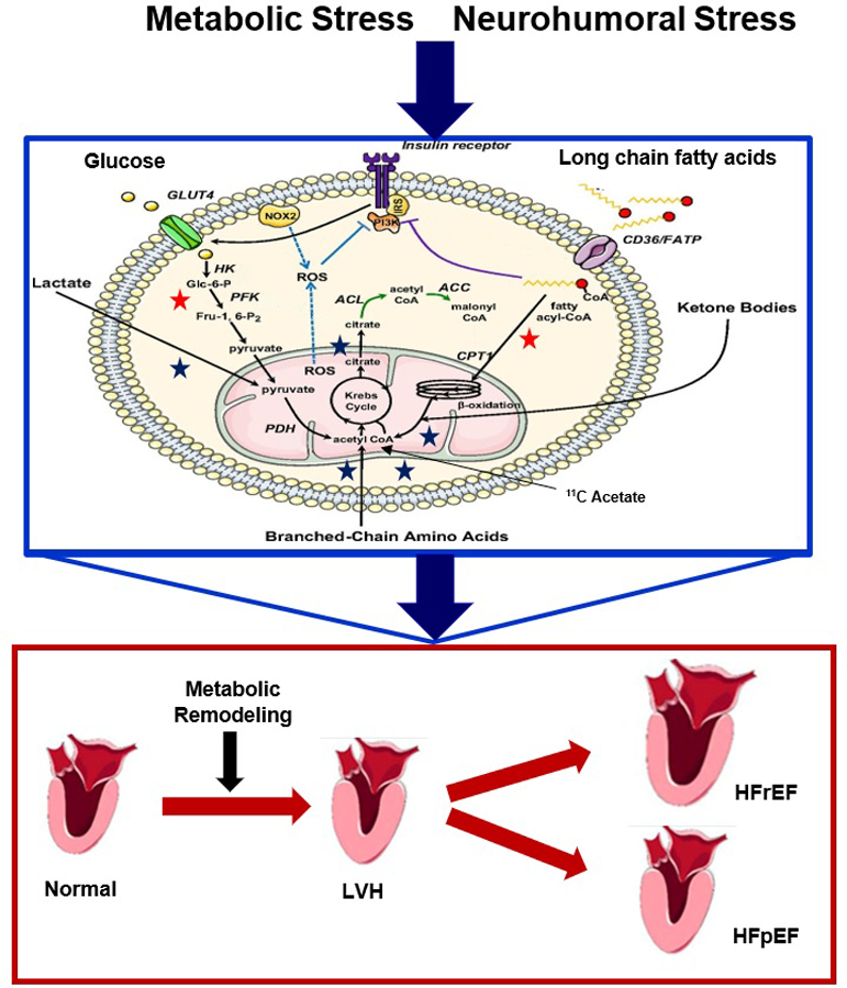 Figure 1: