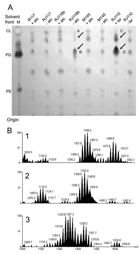 Fig. 3