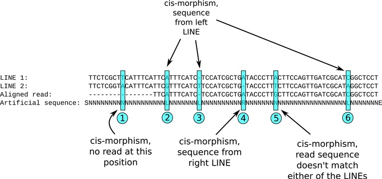 Figure 4.