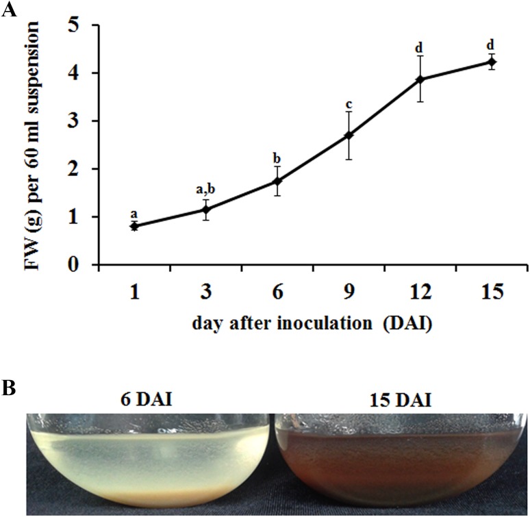 Fig. 1