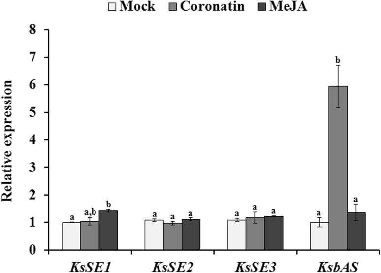 Fig. 4