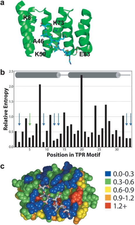 Fig. 1