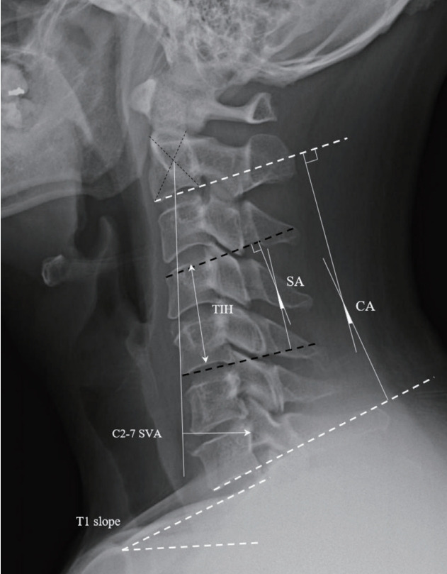 Fig. 1.