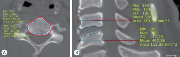 Fig. 3.