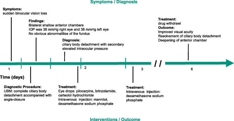 FIGURE 1