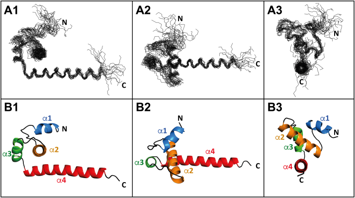 Figure 1