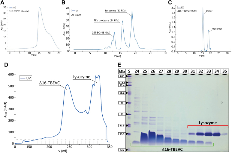 Figure 2