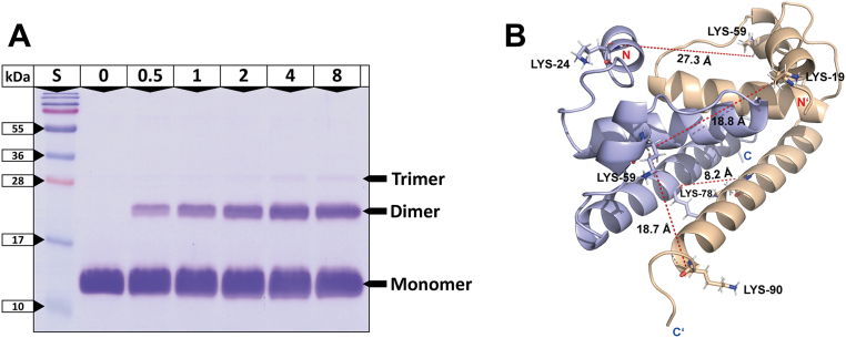 Figure 3