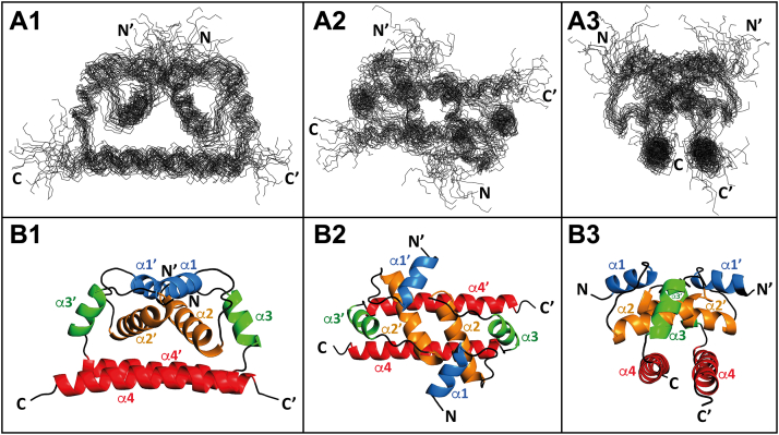 Figure 5