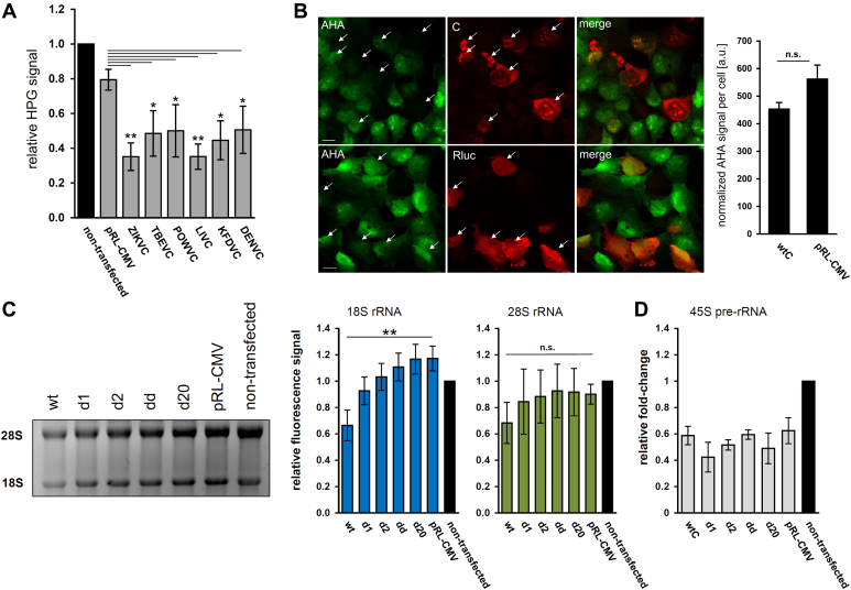 Figure 10