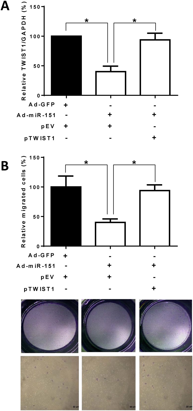 Fig 5