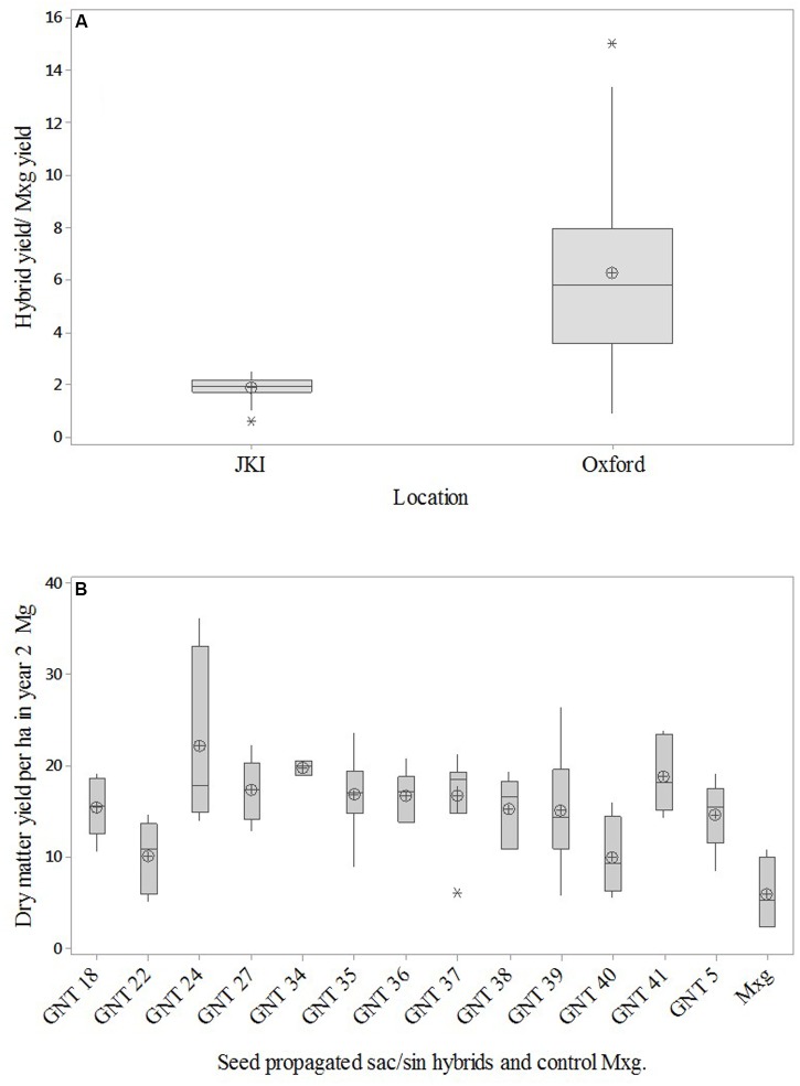 FIGURE 3